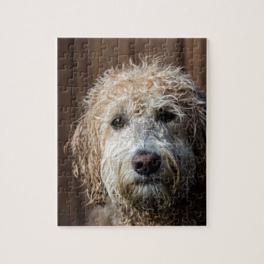 Geweldige Labradoodle Pup-cadeaus Legpuzzel (Verticaal)