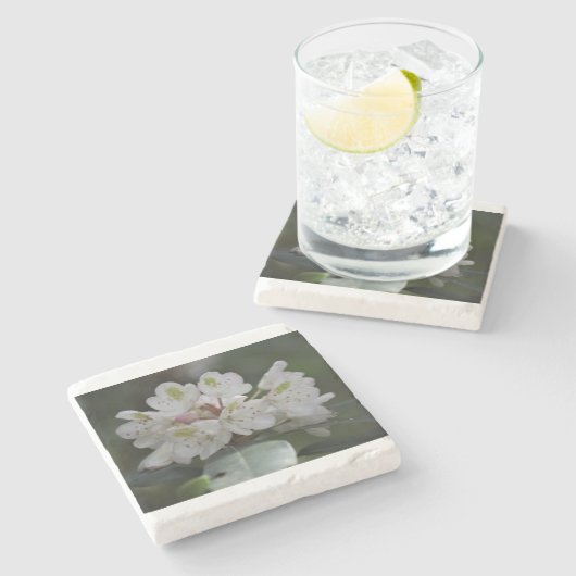 Geweldige Laurel Stenen Onderzetter (Zijkant)