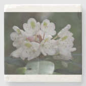 Geweldige Laurel Stenen Onderzetter (Voorkant)