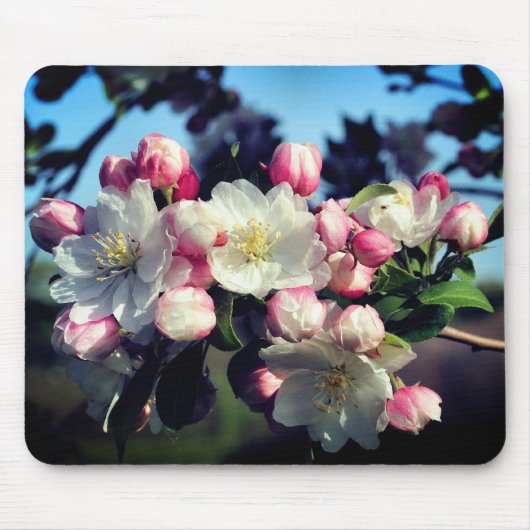 Geweldige lentesbloem muismat (Voorkant)