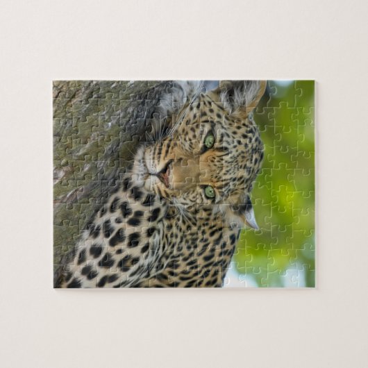 Geweldige luipaard legpuzzel (Horizontaal)