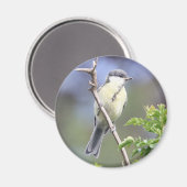 Geweldige magneet (Voorkant / Achterkant)