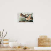Geweldige marmerende godmet Poster van Audubon (Keuken)