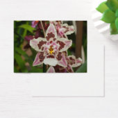 Geweldige meerkleurige falaenopsis Orchid Visitekaartjes (Bureau)