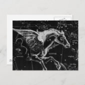 geweldige mooi, mystisch vliegend paard briefkaart (Voorkant / Achterkant)