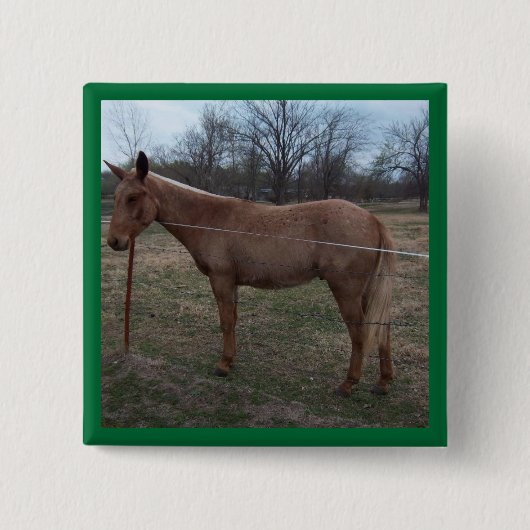 Geweldige Mule! Pin/Button Vierkante Button 5,1 Cm (Voorkant)
