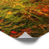 Geweldige najaarsreflecties Natuur Poster (Hoek)