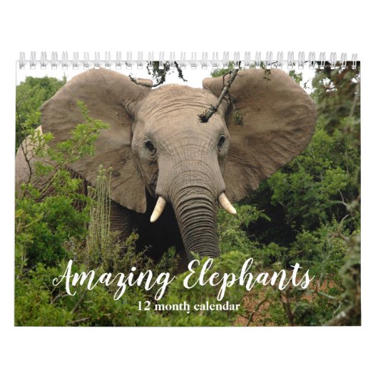 Geweldige olifanten 2025 kalender (Hoes)