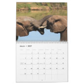 Geweldige olifanten 2025 kalender (Mar 2027)