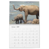 Geweldige olifanten 2025 kalender (Jan 2027)