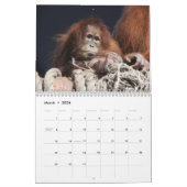 Geweldige orang-oetans 2026 kalender (Mar 2026)