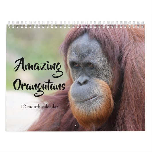 Geweldige orang-oetans 2026 kalender (Hoes)