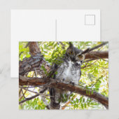 Geweldige orthoekige oplikkerij naar beneden briefkaart (Voorkant / Achterkant)