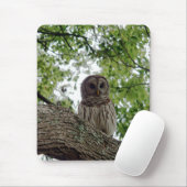 Geweldige Owl Mousepad Muismat (Met muis)