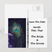 Geweldige Paarse Pauw Save the Date Briefkaart (Voorkant / Achterkant)