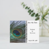 Geweldige Peacock Save the Date Briefkaart (Staand voorkant)