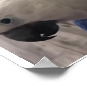 geweldige persoonlijkheid van paraplu-cockatoo poster (Hoek)