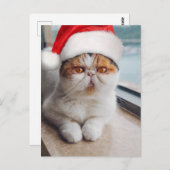 Geweldige perzische kat met het pet van Santa Clau Briefkaart (Voorkant / Achterkant)
