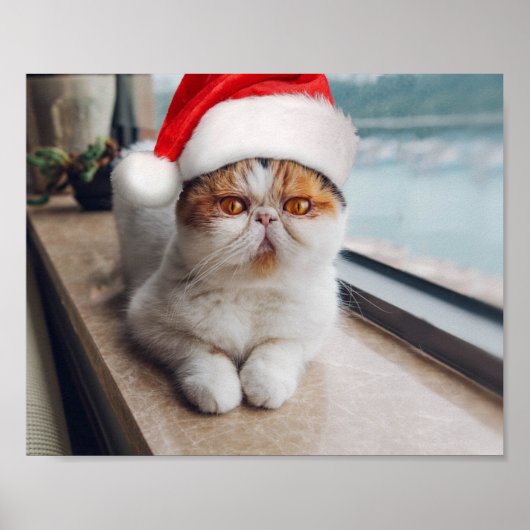 Geweldige perzische kat met het pet van Santa Clau Poster (Voorkant)