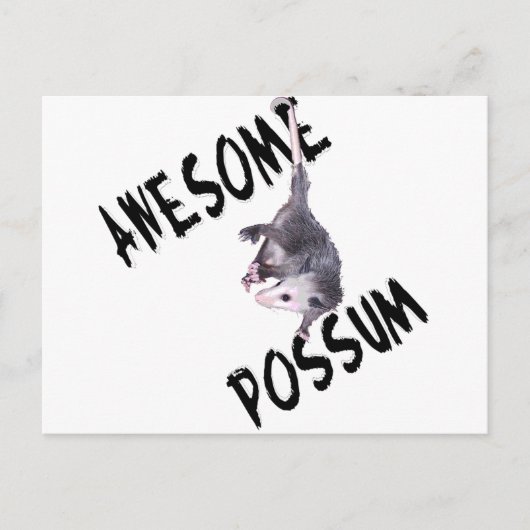 Geweldige possum briefkaart (Voorkant)