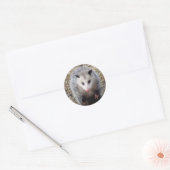 Geweldige Possum Classic Round Sticker (Envelop)