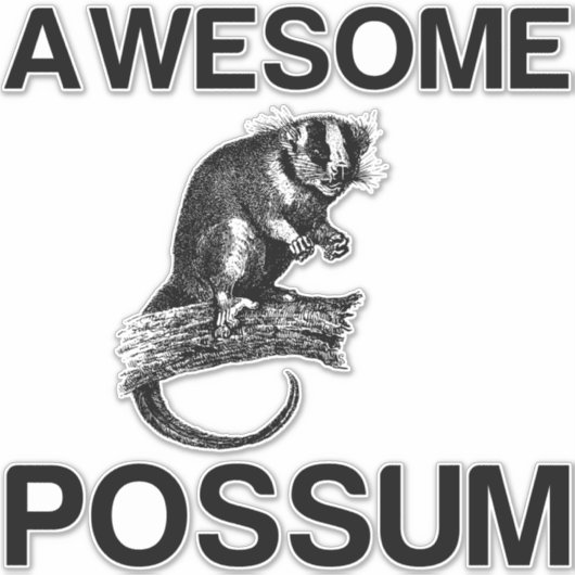 GEWELDIGE POSSUM STICKER (Voorkant)
