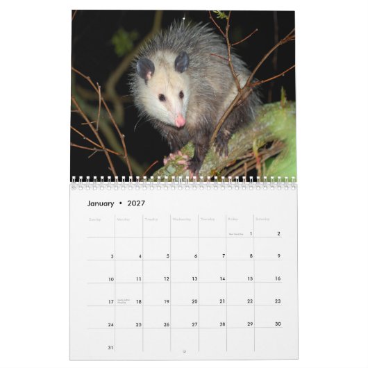 Geweldige Possum Wall Agenda Kalender (Jan 2027)