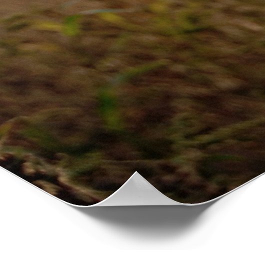 Geweldige Poster (Hoek)