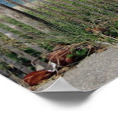 Geweldige! Poster (Hoek)