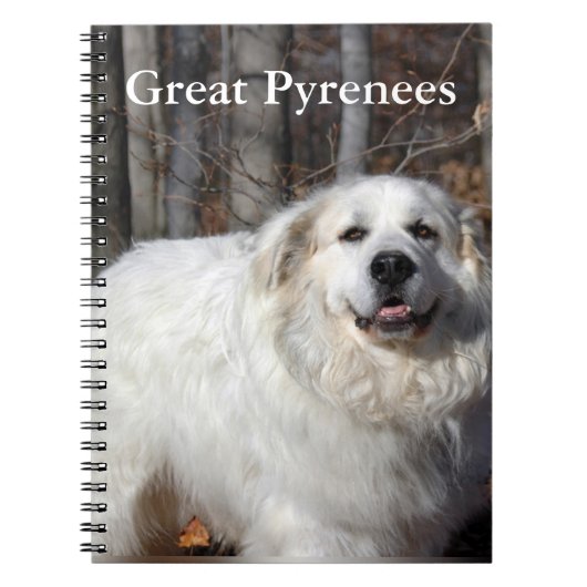 Geweldige Pyreneeën-laptop Notitieboek (Voorkant)
