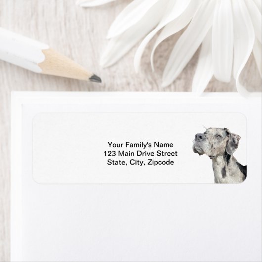 Geweldige retourzending van dane Merle Etiket (Insitu)