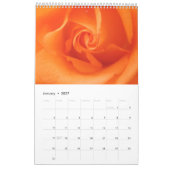 Geweldige Rozen 2024 Kalender (Jan 2027)