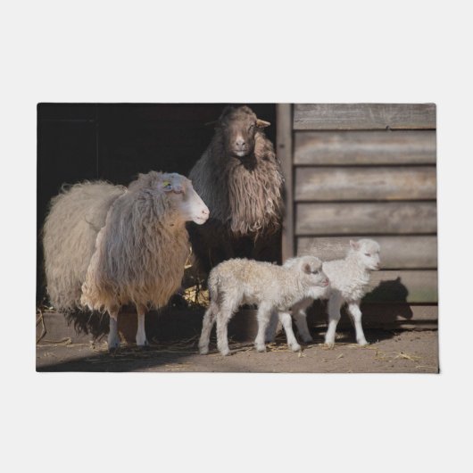 Geweldige schapen met foto van lammeren deurmat (Voorkant)