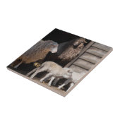 Geweldige schapen met foto van lammeren tegeltje (Zijkant)