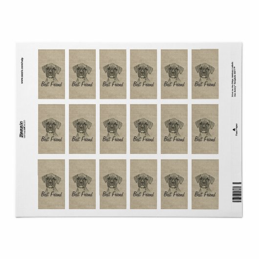 Geweldige schattige driekleppige bokshond etiket (Full Sheet)