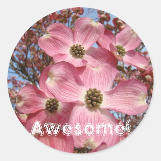 Geweldige stickers Roze Natuur Dogwood Flowers (Voorkant)