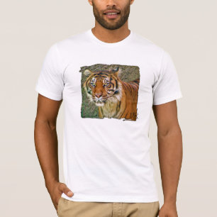 Geweldige Tiger T-shirt! T-shirt