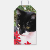 Geweldige Tuxedo Cat in de tuin Cadeaulabel (Voorkant)