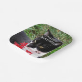 Geweldige Tuxedo Cat in Tuden Personal Papieren Bordje (Gebogen)