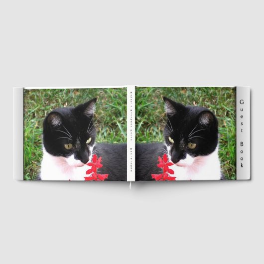 Geweldige Tuxedo Cat in tuin - aangepaste tekst in Gastenboek (Volledig)