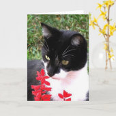 Geweldige Tuxedo Cat in Tuin Blank Binnen Kaart (Gele Bloem)
