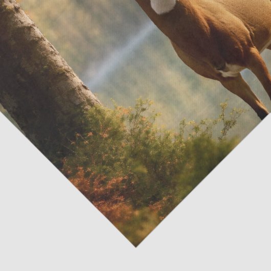 Geweldige Twaalf Punt Buck in Herfstwateren Tissuepapier (Detail)