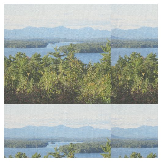 Geweldige Uitzicht van winnipesaukee Stof (Close Up)
