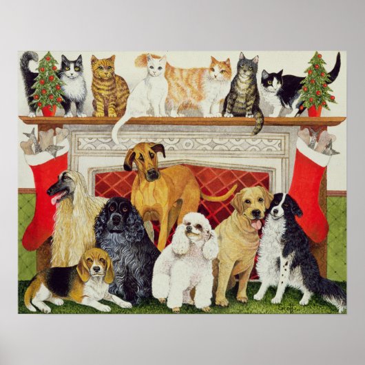 Geweldige verwachtingen poster (Voorkant)