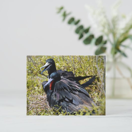 Geweldige vogels in liefde briefkaart (Staand voorkant)