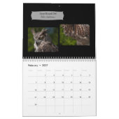 Geweldige vogelstand van de foto van 2019 kalender (Feb 2027)