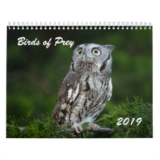 Geweldige vogelstand van de foto van 2019 kalender