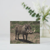 Geweldige Warthog Briefkaart (Staand voorkant)