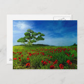 Geweldige wereld briefkaart (Voorkant / Achterkant)