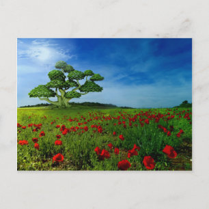 Geweldige wereld briefkaart